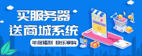 買服務器送商城系統